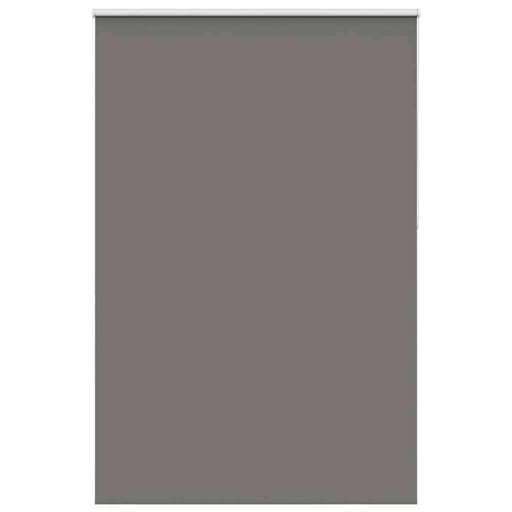 vidaXL Verdunkelungsrollo Grau 165x210cm Stoffbreite 161,6cm Polyester