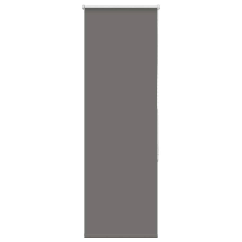 vidaXL Verdunkelungsrollo Grau 50x175 cm Stoffbreite 45,7 cm Polyester