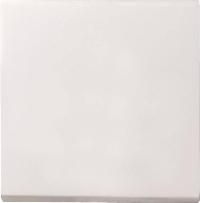 GIRA 029627 Wippe System 55 Reinweiß seidenmatt Install.Baumaterial Schaltermat/Geb.Steu Schalter