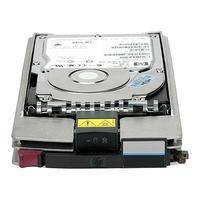 Hewlett Packard AG804A Speicher