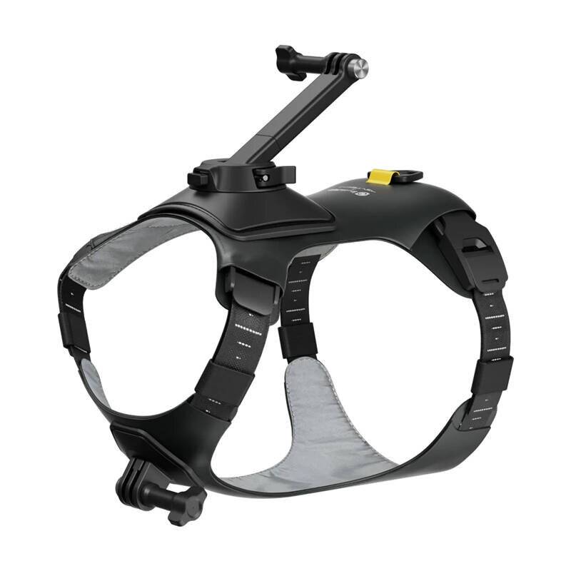 Ein schwarzes Geschirr, das speziell entwickelt wurde, um eine Kamera sicher an einem Hund zu befestigen. Zu den Merkmalen gehören verstellbare Riemen und eine Halterung zur Positionierung der Kamera.