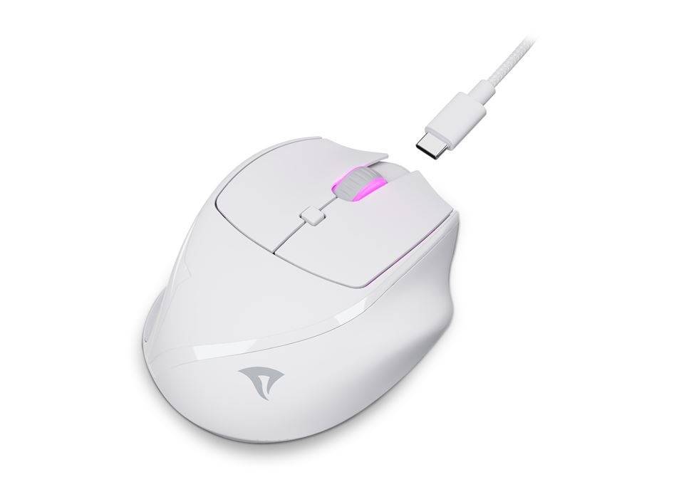 Sharkoon Maus OfficePal M25W Optisch 6 Tasten 4.000 DPI weiß