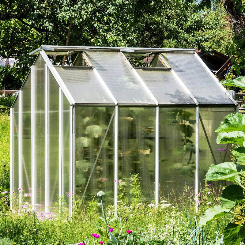 14x Polycarbonat Hohlkammerstegplatten 4mm 50x Edelstahl Gewächshausklammern 10,25 m² Doppelstegplatte 1210x605 Stegplatte Gewächshausplatte