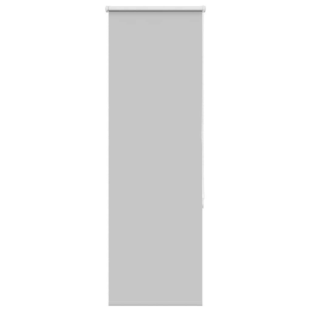 vidaXL Verdunkelungsrollo Hellgrau 55x150 cm Stoffbreite 50,7 cm