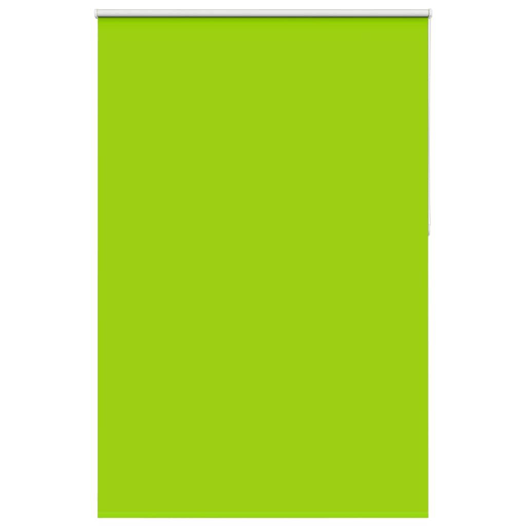 vidaXL Verdunkelungsrollo Grün 165x230cm Stoffbreite 161,6cm Polyester