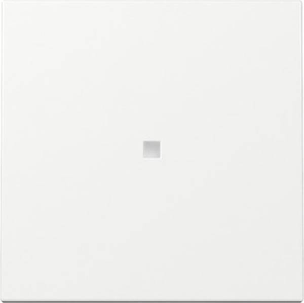 GIRA 329003 Wippe Kontrollf. System 55 Reinweiß