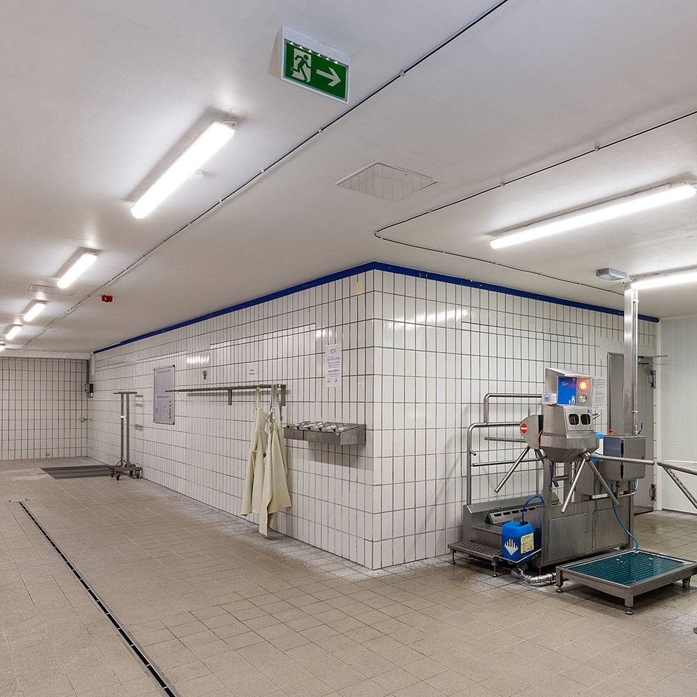 DOTLUX LED-EX-Schutzleuchte MISTRALex EX Geschützt IP66 1272mm 44W 4000K IK10 Zone 2 & 22