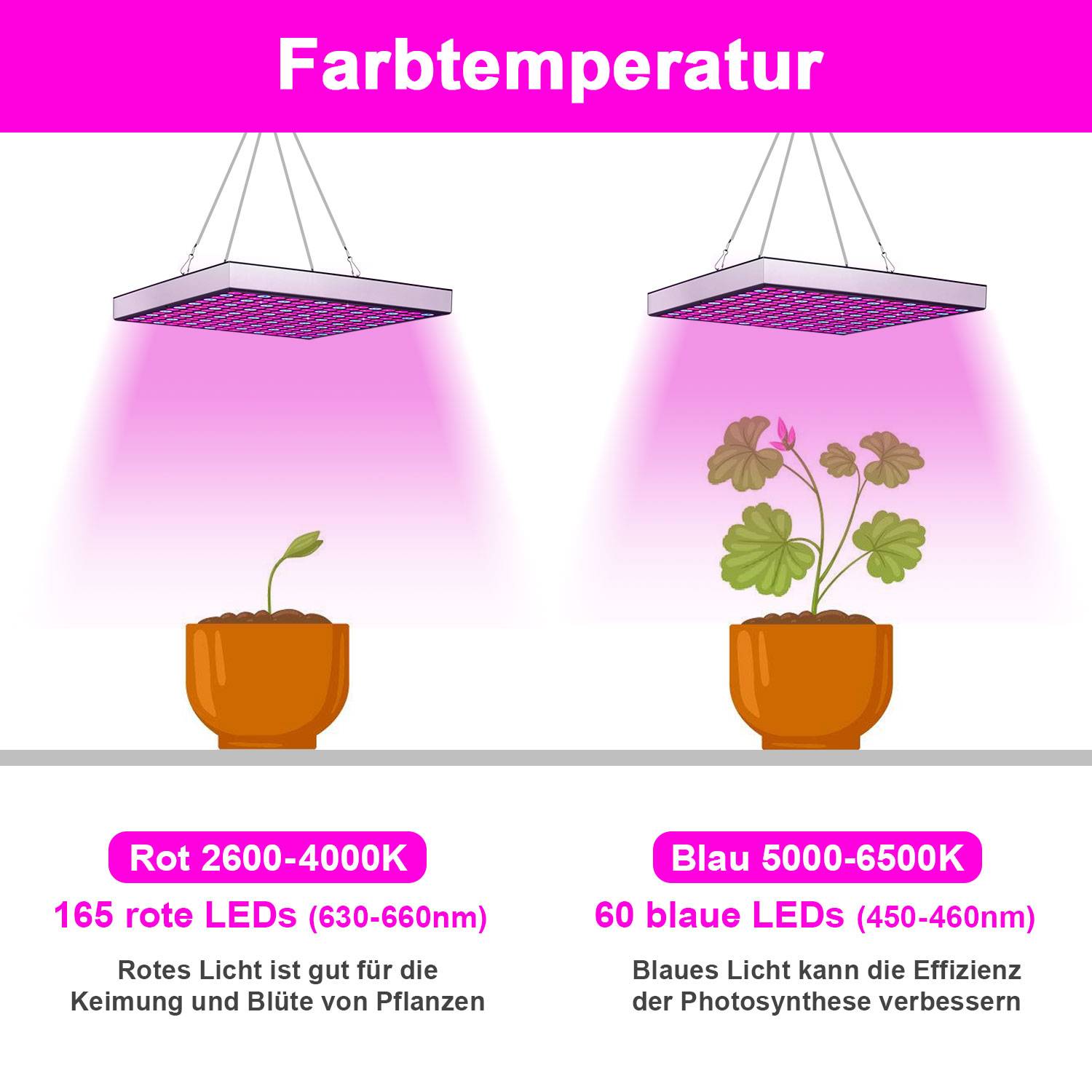 1PC Pflanzenlampe LED, 15W mit 225 Rot&Blau LEDs Pflanzenlicht Pflanzenleuchte, LED Grow Lampe, Wachstumslampen für Zimmerpflanzen, Blumen im Gar