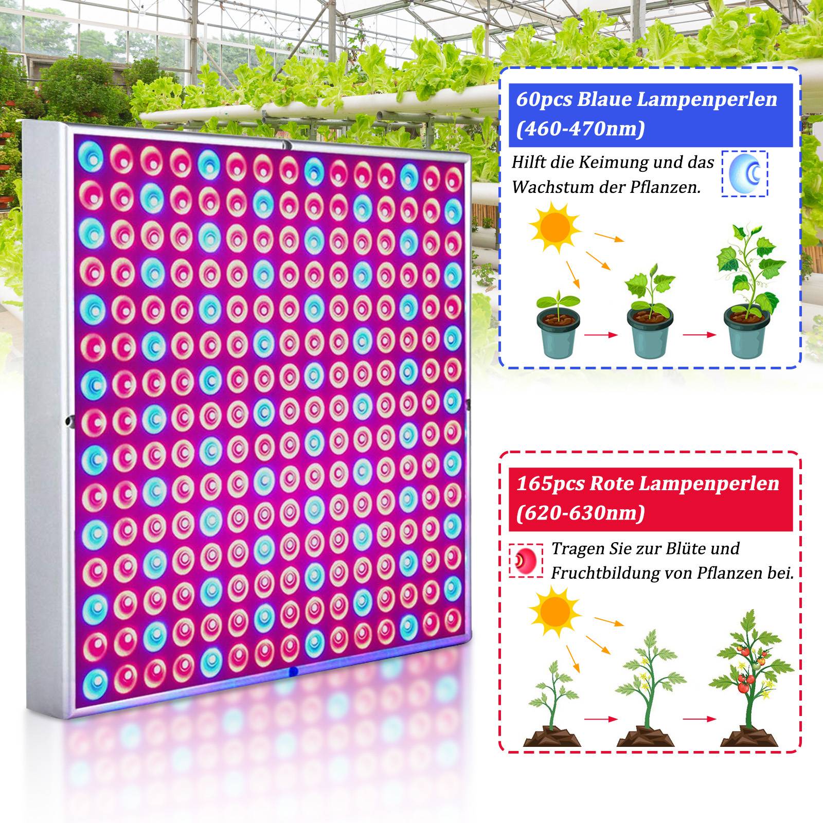 2PCS Pflanzenlampe LED, 15W mit 225 Rot&Blau LEDs Pflanzenlicht Pflanzenleuchte, LED Grow Lampe, Wachstumslampen für Zimmerpflanzen, Blumen im Ga