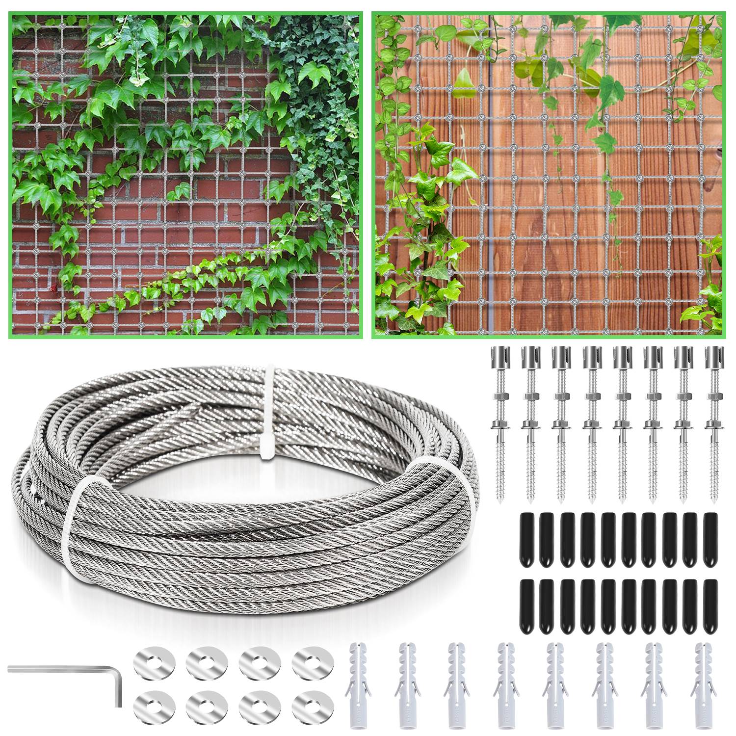 12M Rankhilfe Edelstahl für Kletterpflanzen Drahtseil Stahlseil Set mit Wandhalterung und Seildurchmesser 3 mm Unterstützung