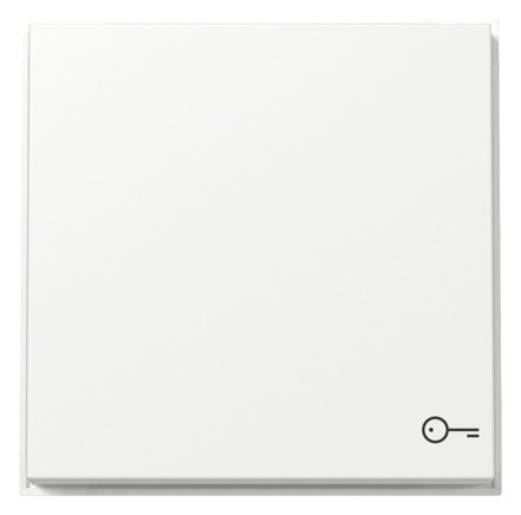 1St. Gira 328766 Wippe Symbol Tür Gira TX_44 (WG UP) reinweiß