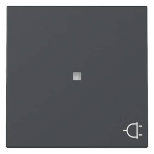 1St. Gira 329128 Wippe Kontrollfenster + Symbol Steckd. System 55 anthrazit
