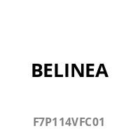 Belkin Samsung Galaxy Tab 3 7" Formfit Schutzhülle, g