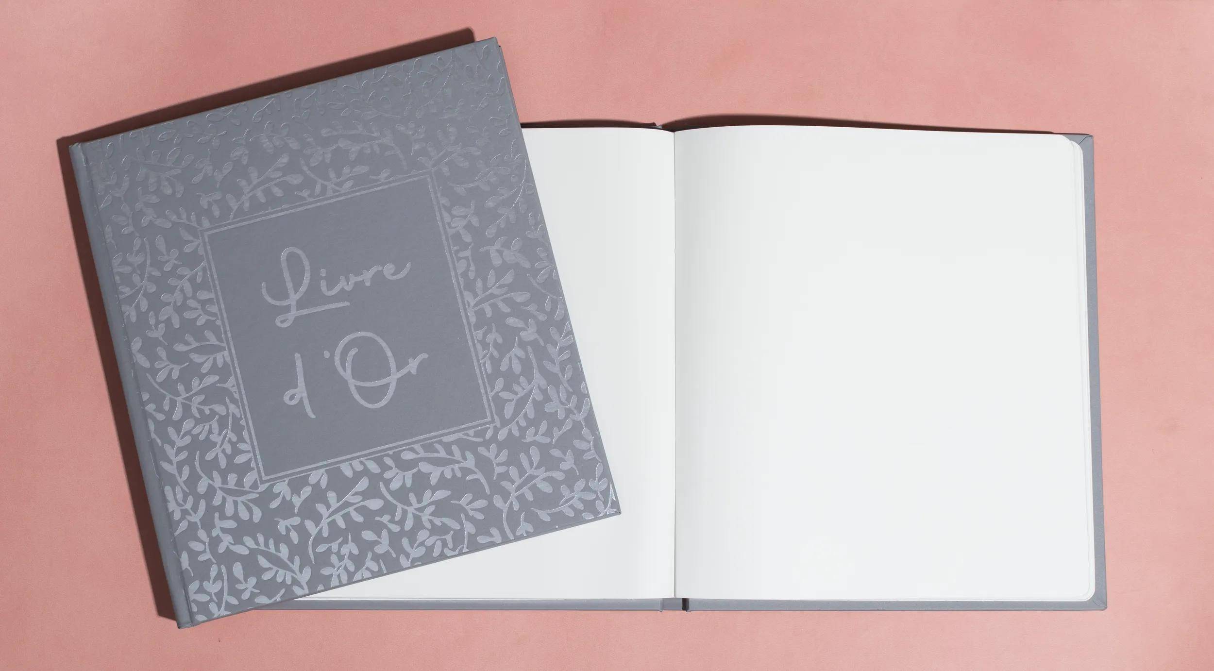 Exacompta Gästebuch 70 Bl blanko Silberschnitt 21x19cm AutentiK Blaugrau 47365E