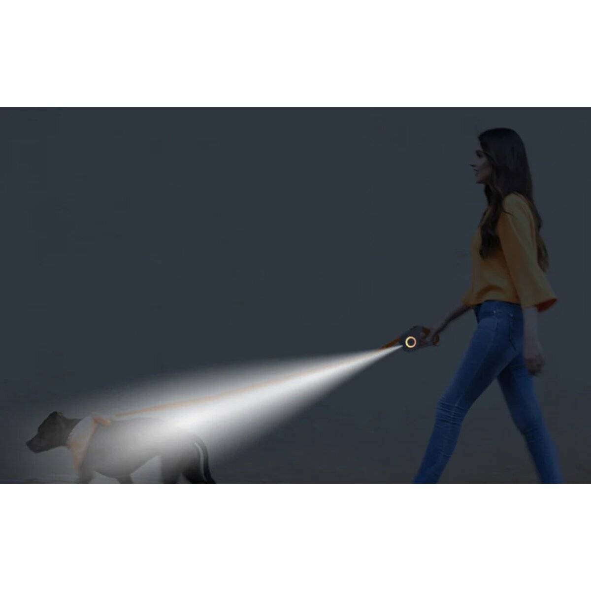 Automatikleine für Hunde in Grün 5m mit GRB-Beleuchtung und Taschenlampe