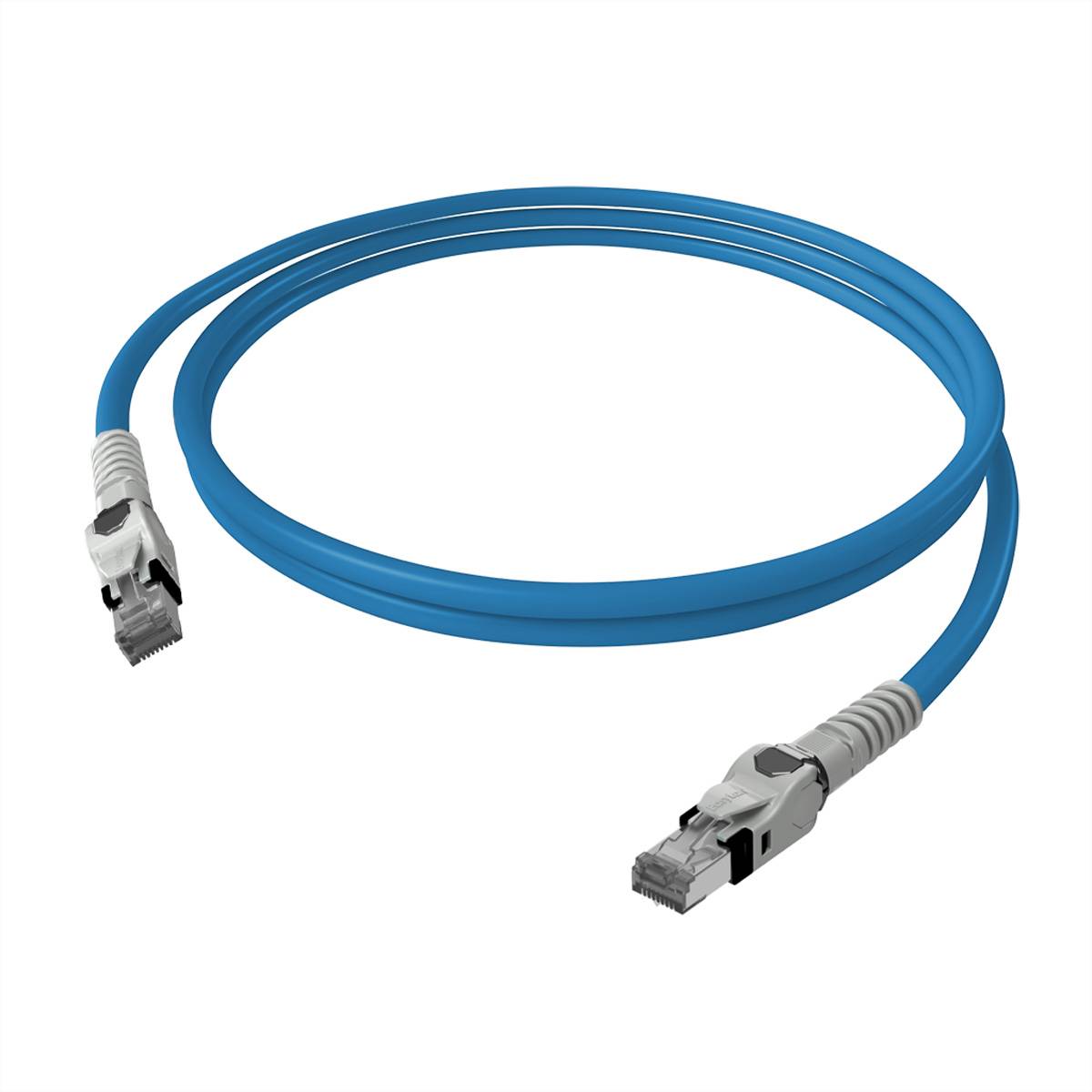 Blaues Ethernet-Kabel mit RJ45-Steckern an beiden Enden, aufgerollt auf weißem Hintergrund.