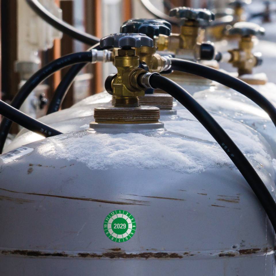 Prüfplakette 2029, grün, Dokumentenfolie, selbstklebend, Ø40mm, 10/Bogen