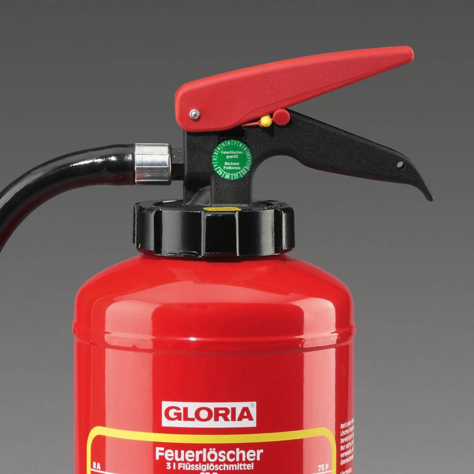 Prüfplakette Feuerlöscher geprüft, Nächster Prüftermin, 29-32, grün, Dokumentenfolie, Ø 30mm, 18/Bogen