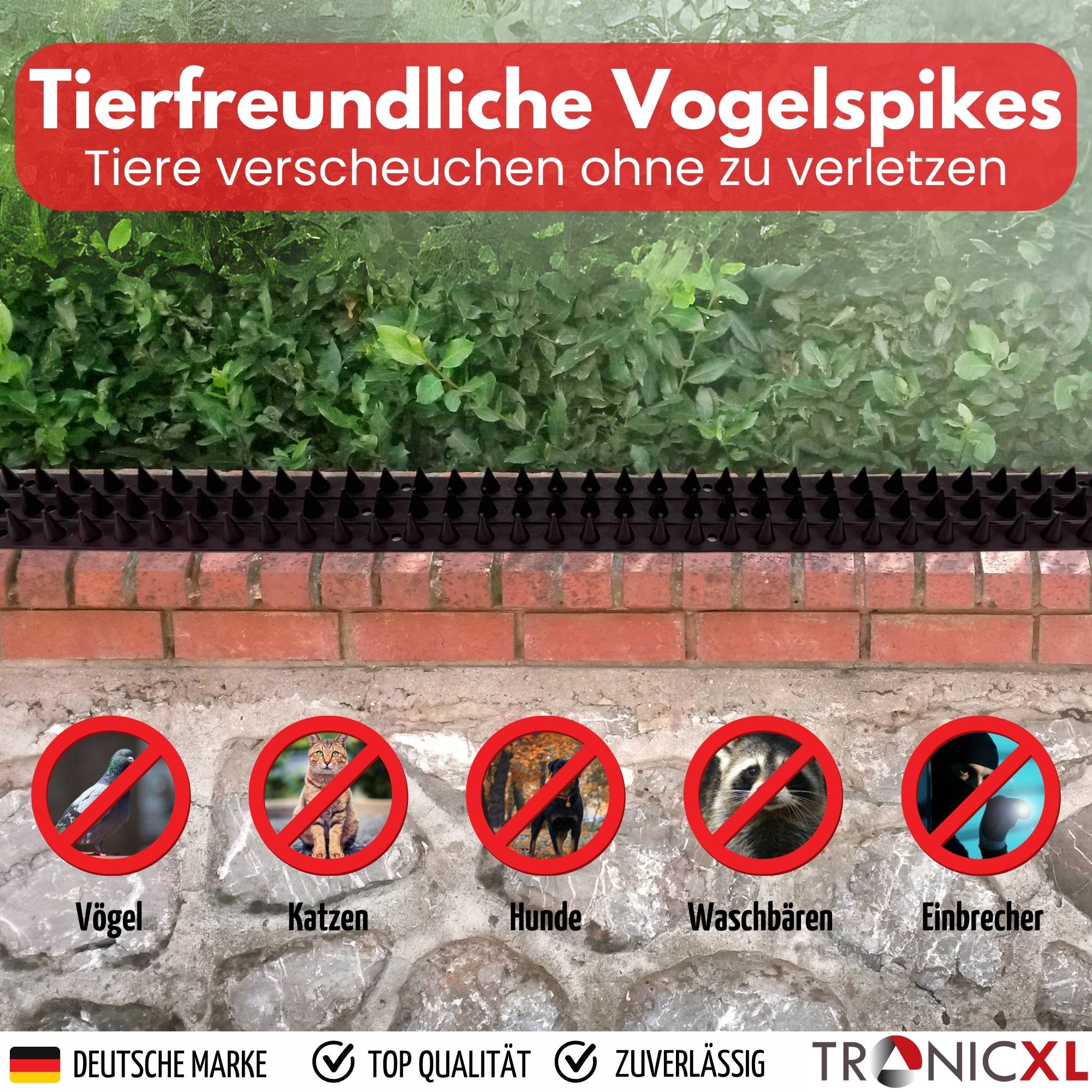 20 Stück 10m Kletterschutz Streifen Vogelabwehr Tauben Abwehr Vogel Spikes Schutz Dach Balkon Terrasse Fensterkante