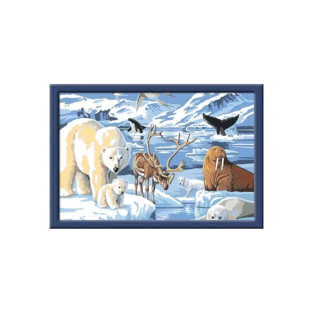 28909 - Tiere der Arktis - Malen nach Zahlen für Kinder ab 11 Jahren