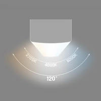 Spectrum LED LIMEA SUBTILO 60cm Deckenleuchte 15W 1800lm weiß 120° 230V IP20 2700-6000K CCT Spectrum LED LIMEA SUBTILO 60cm Deckenleuchte 15W 1800lm weiß 120° 230V IP20 2700-6000K CCT