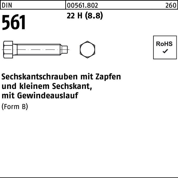 Sechskantschraube DIN 561 Zapfen BM 6x 30 22 H (8.8) 100 Stück