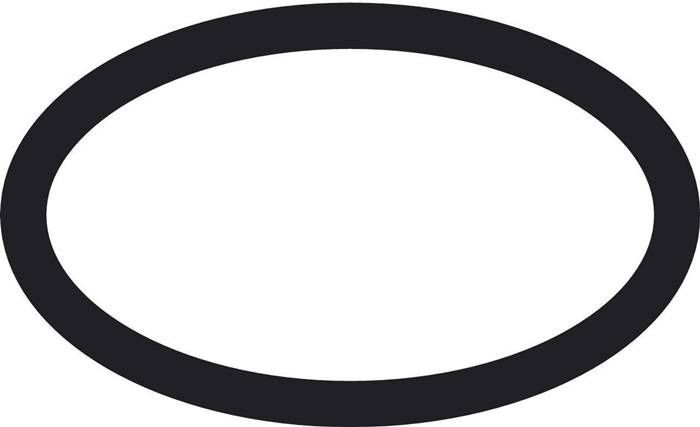 O-Ring HANSGROHE