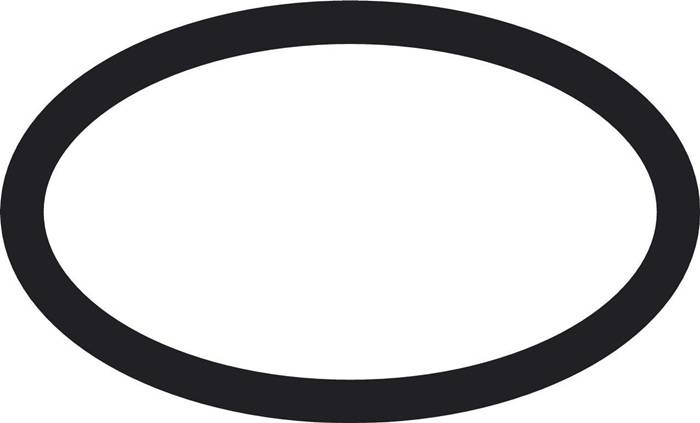 O-Ring HANSGROHE