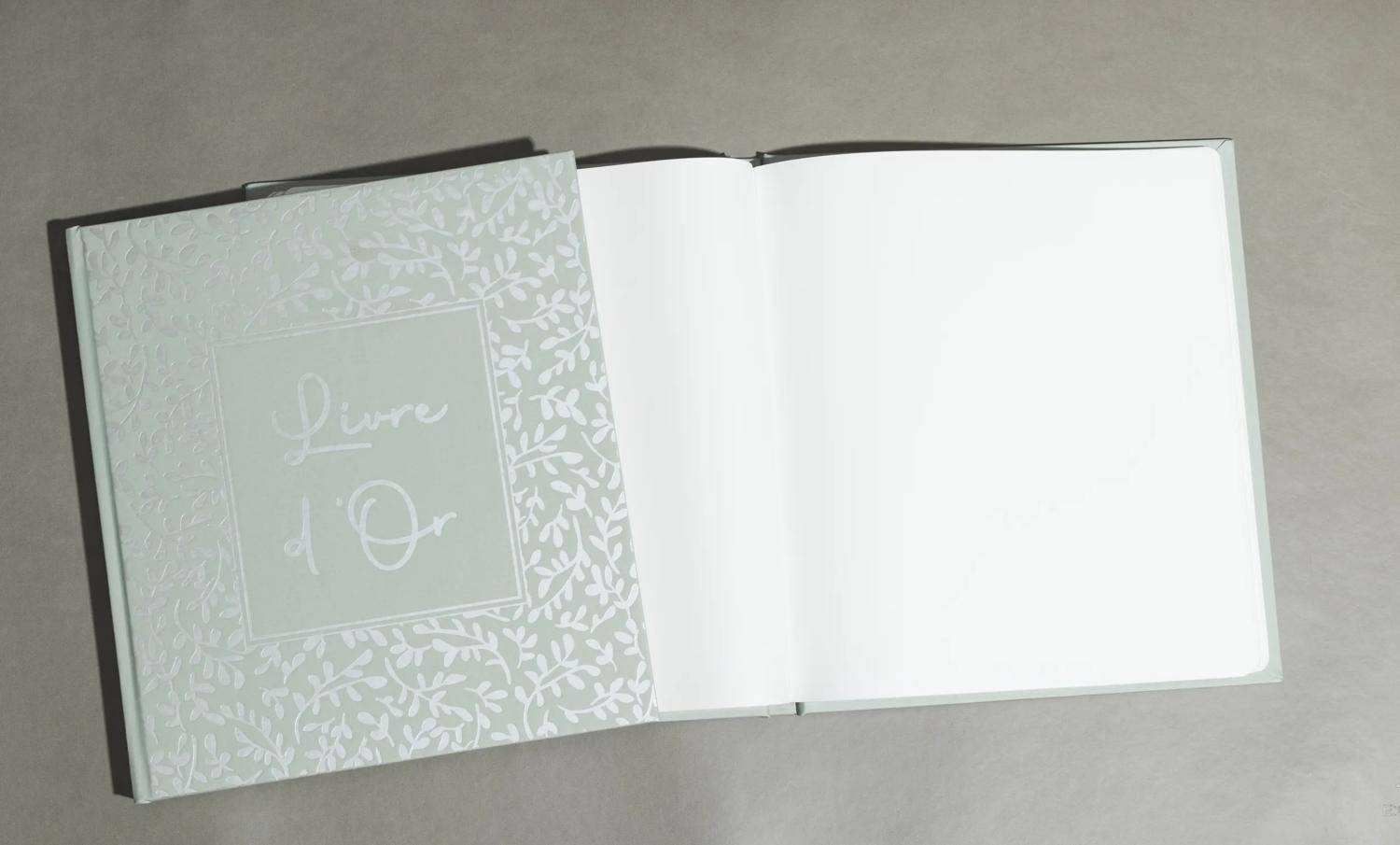 Exacompta Gästebuch 70 Bl blank Silberschnitt 21x19cm AutentiK Salbeigrün 47363E