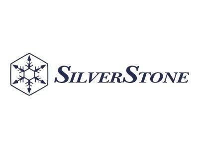 SilverStone-Logo mit einer Schneeflocke in einem Hexagon-Symbol und dem Wort „SilverStone" in dunkelblauem Text.