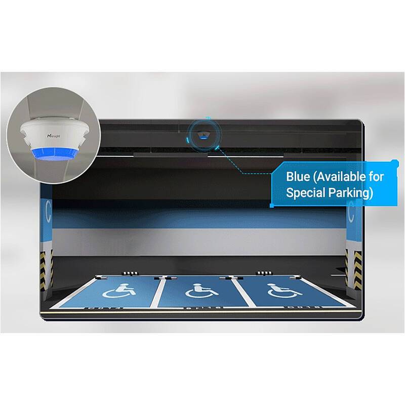 Milesight Indoor Parking Guidance Camera, PM3322-E, 1080pDome Kamera, Multisensor Kamera, KFZ-Kennzeichen-Erkennung | F