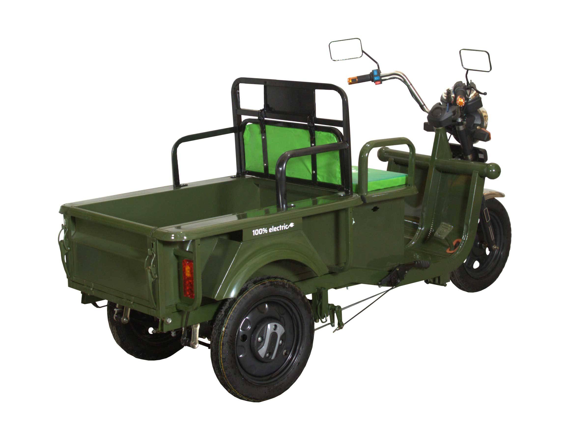 MoveEco Elektrisches Lastendreirad 250 Grau 45km/h OHNE Straßenzulassung