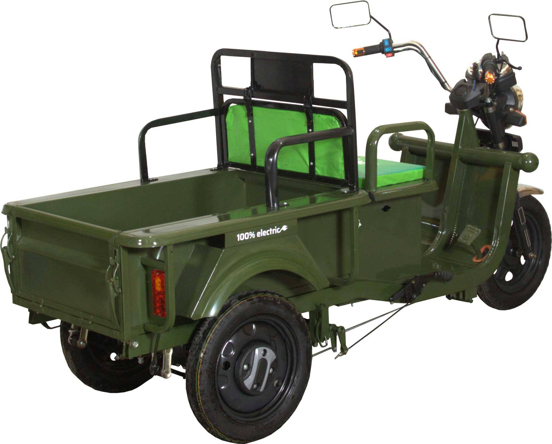 MoveEco Elektrisches Lastendreirad 250 Grau 45km/h OHNE Straßenzulassung