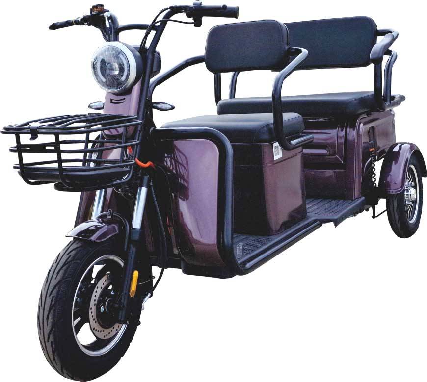 MoveEco P1-00 Elektrisches Dreirad für 2 Personen Mobilität für alle Generationen 25km/h Steingrau Seniorenmobil 2 Jahre