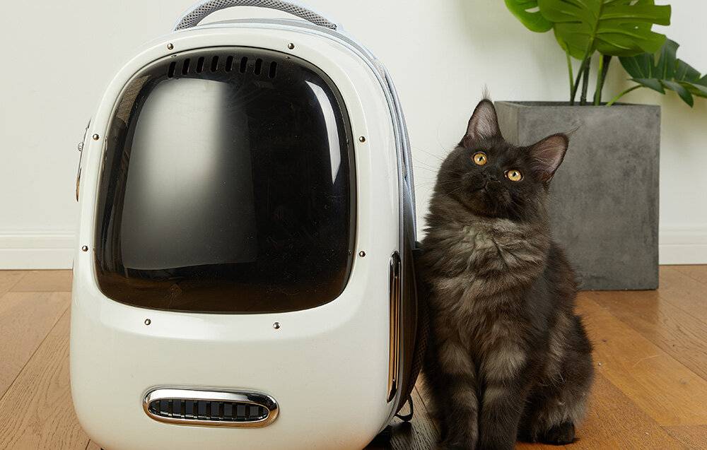 Haustier-Reiserucksack PetKit Breezy 2 (Creme-Weiß)