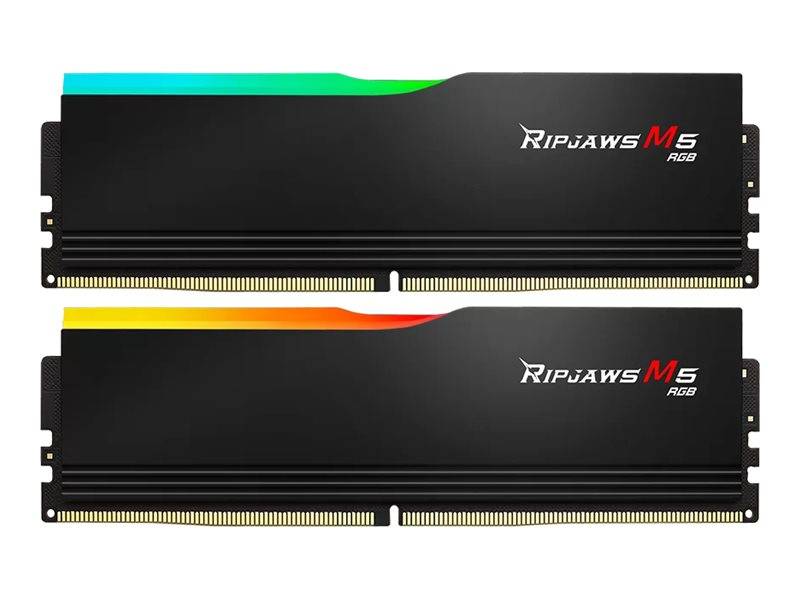 Zwei schwarze Computer-RAM-Sticks mit der Bezeichnung 'Ripjaws M5 RGB' mit bunter RGB-Beleuchtung an den Oberkanten.