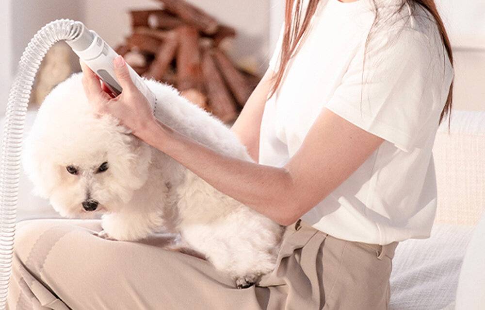 Pflegeset für Haustiere Petkit AirClipper 5-in-1