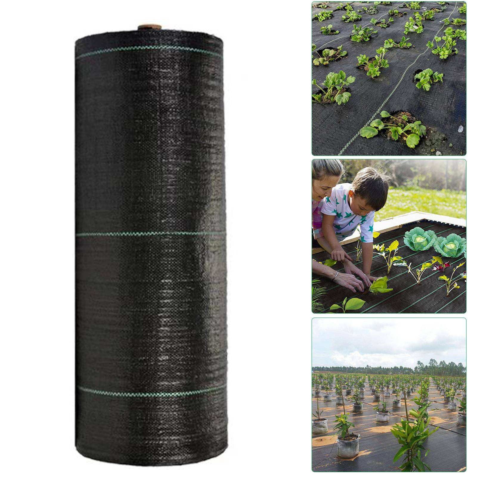 100g/m² Unkrautvlies Reißfestes, 2x25 m, Gartenvlies Schutzvlies, Mulchflies, Bodengewebe (50qm)