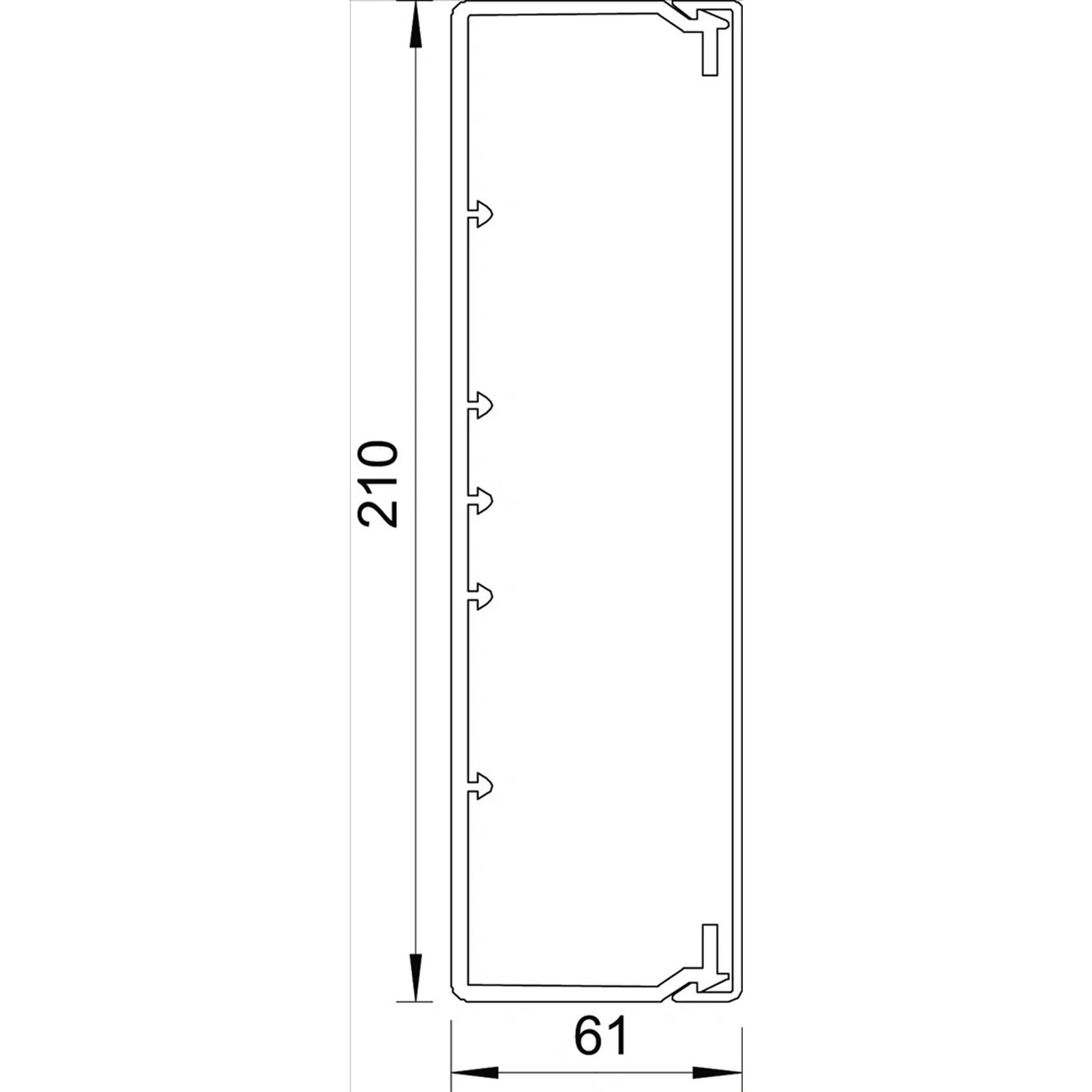 Technische Zeichnung eines hohen rechteckigen Panels oder Türprofils mit einer Höhe von 210 und einer Breite von 61, das seinen Querschnitt und seine Abmessungen zeigt.
