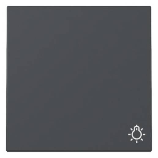 Dunkelgrauer Lichtschalter mit kleinem weißem Glühbirnen-Symbol in der unteren rechten Ecke.