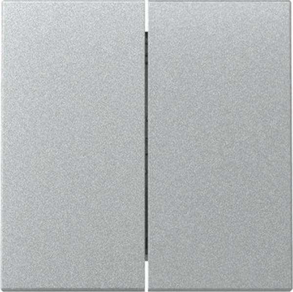 GIRA 329526 Wippe 2f System 55 F Alu