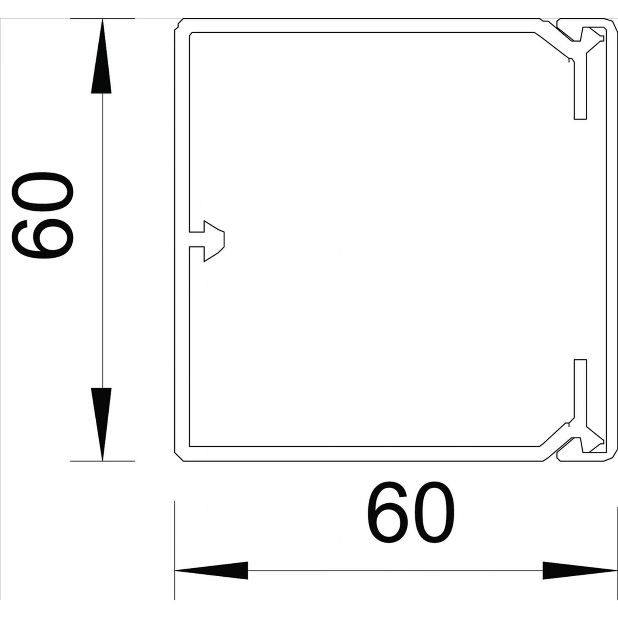 Technisches Diagramm eines quadratischen Profilquerschnitts mit der Bezeichnung 60 x 60, mit Pfeilen, die angeben, dass beide Abmessungen 60 Einheiten betragen.