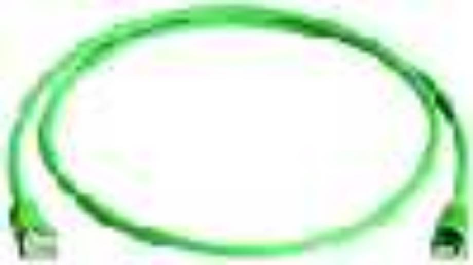 Ein einfaches grünes Oval auf einem schlichten Hintergrund.