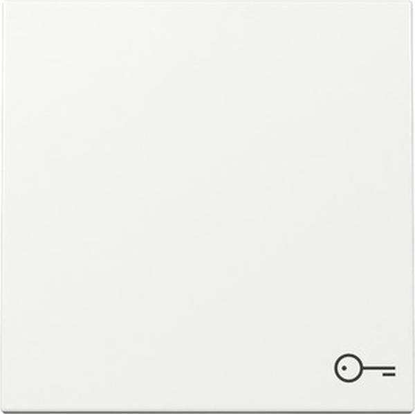 GIRA 328703 Wippe Symb. Tür System 55 Reinweiß