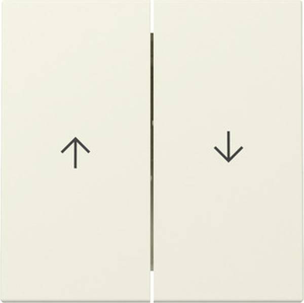 GIRA 329401 Wippe 2f Pfeil System 55 Cremeweiß