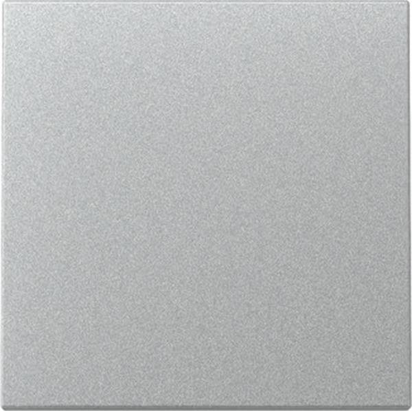 GIRA 329626 Wippe System 55 F Alu
