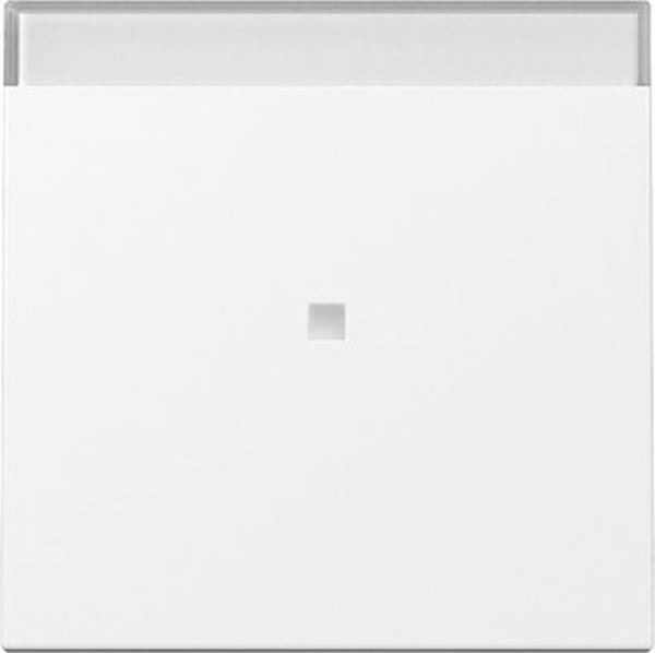 GIRA 367003 Wippe Kontrollf.+ BSF System 55 Reinweiß