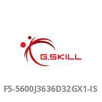 DDR5 32GB PC 5600 CL36 G.Skill KIT (1x32GB) 16-GX1-IS Multimedia-Technik Speichermodule