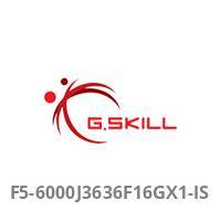DDR5 16GB PC 6000 CL36 G.Skill (1x16GB) 16-GX2-IS Aegis Multimedia-Technik Speichermodule