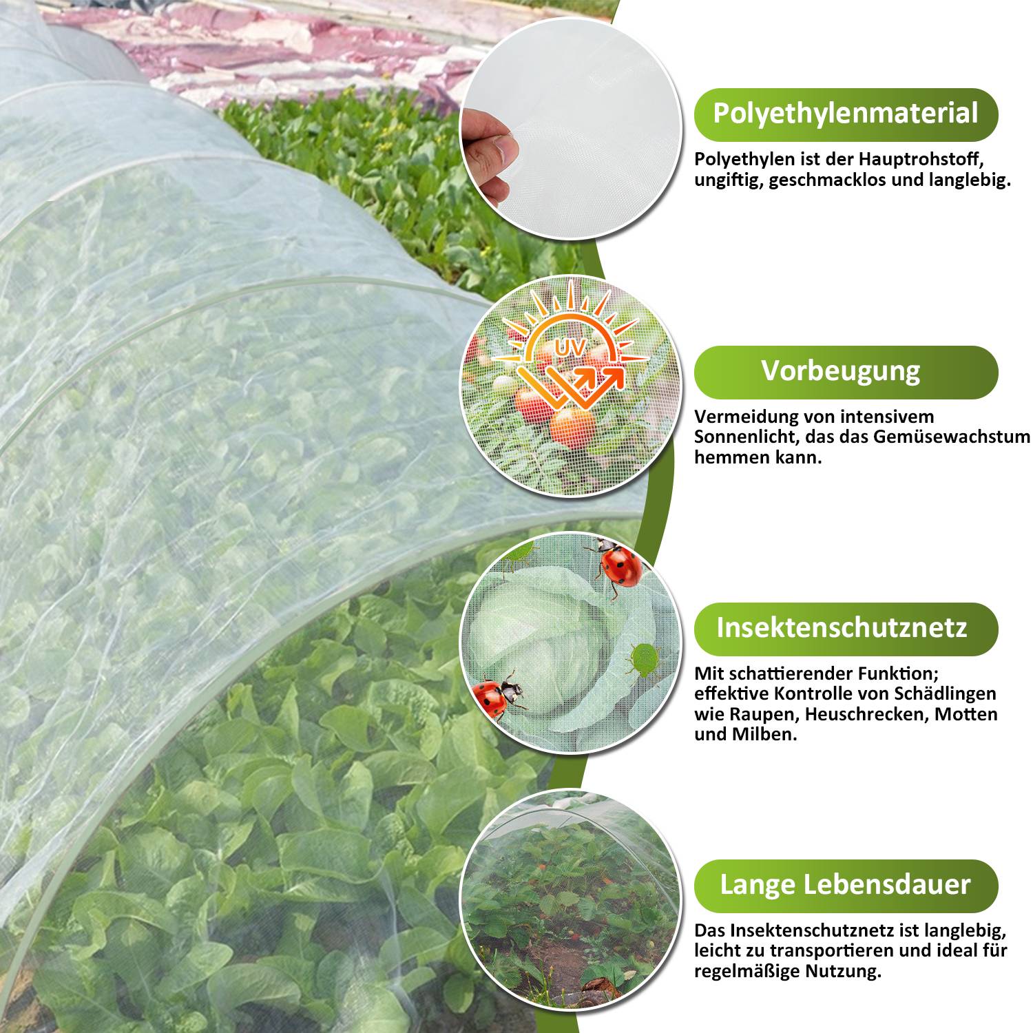 Pflanztunnel Gewächshausreifen Folientunnel Bögen Pflanzenabdeckungs Stützrahmen Folientunnel Foliengewächshaus Pflanztunnel Bögen Gewächshaus T